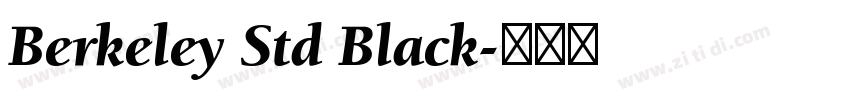 Berkeley Std Black字体转换